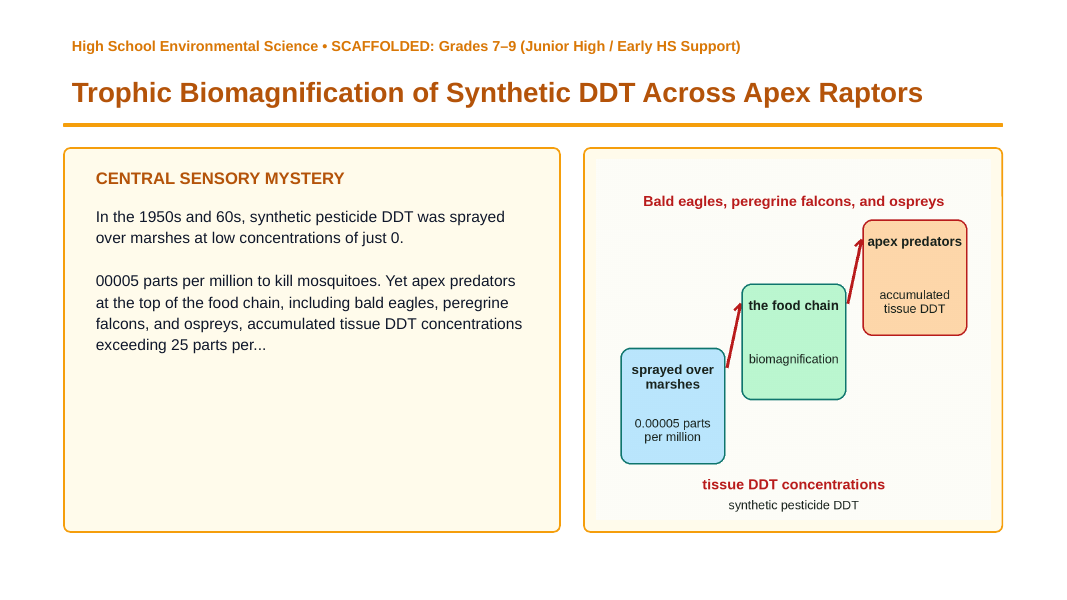 How Energy Moves in Nature Scaffolded Phenomena-Based Lesson: Trophic Biomagnification of Synthetic DDT Across Apex Raptors Presentation sample page