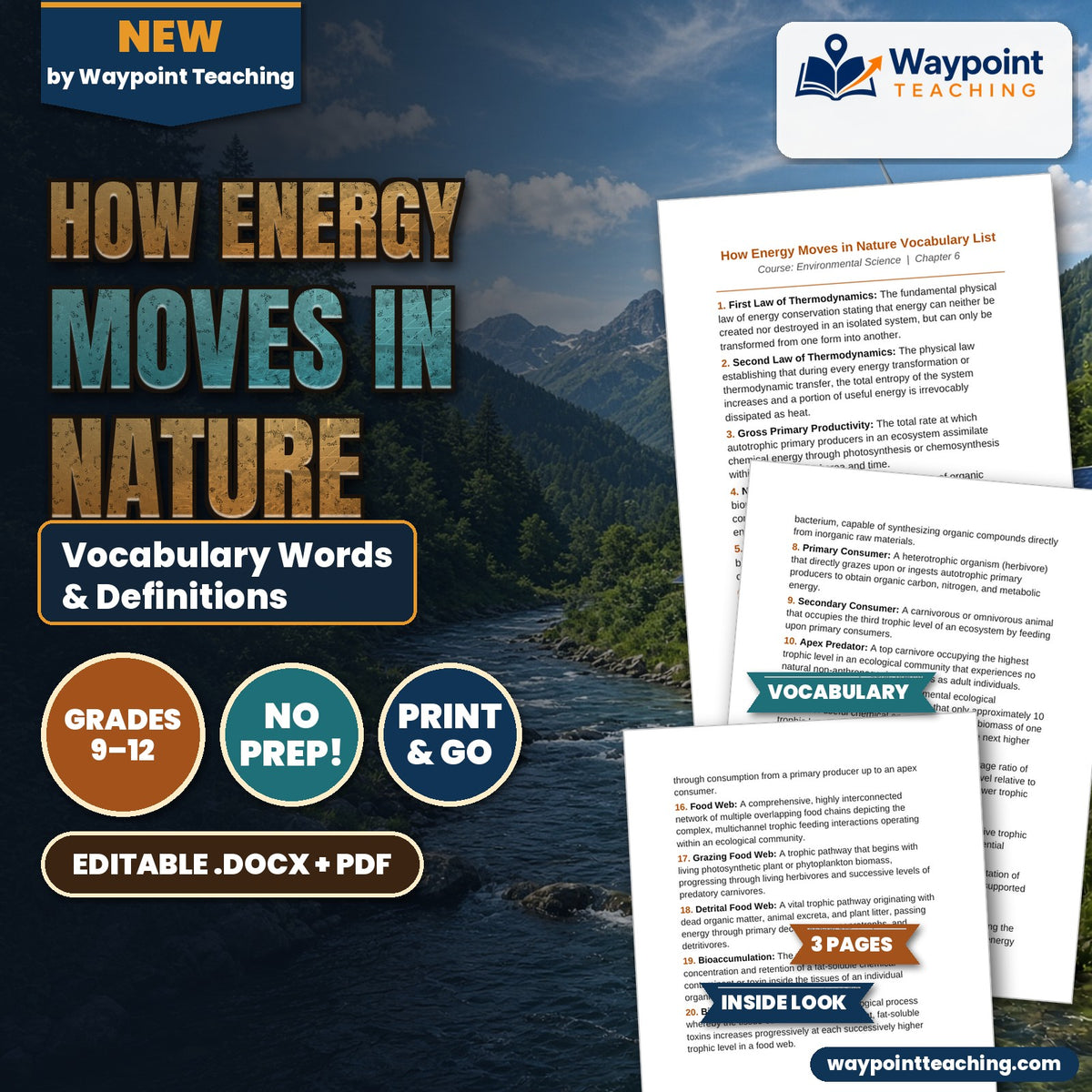 How Energy Moves in Nature Vocabulary Words & Definitions cover