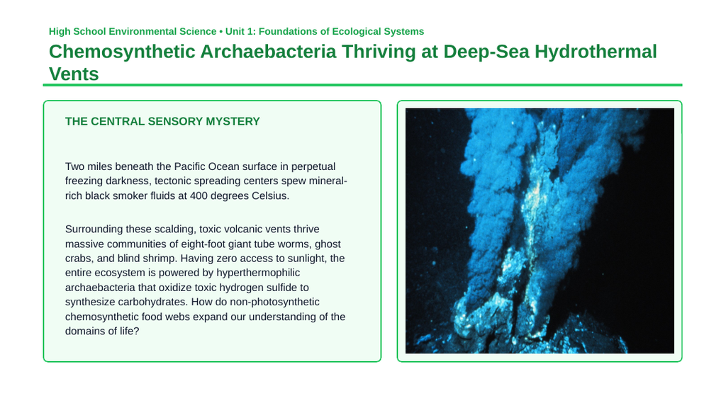 Six Kingdoms of Life Phenomena-Based Lesson: Chemosynthetic Archaebacteria Thriving at Deep-Sea Hydrothermal Vents Presentation sample page