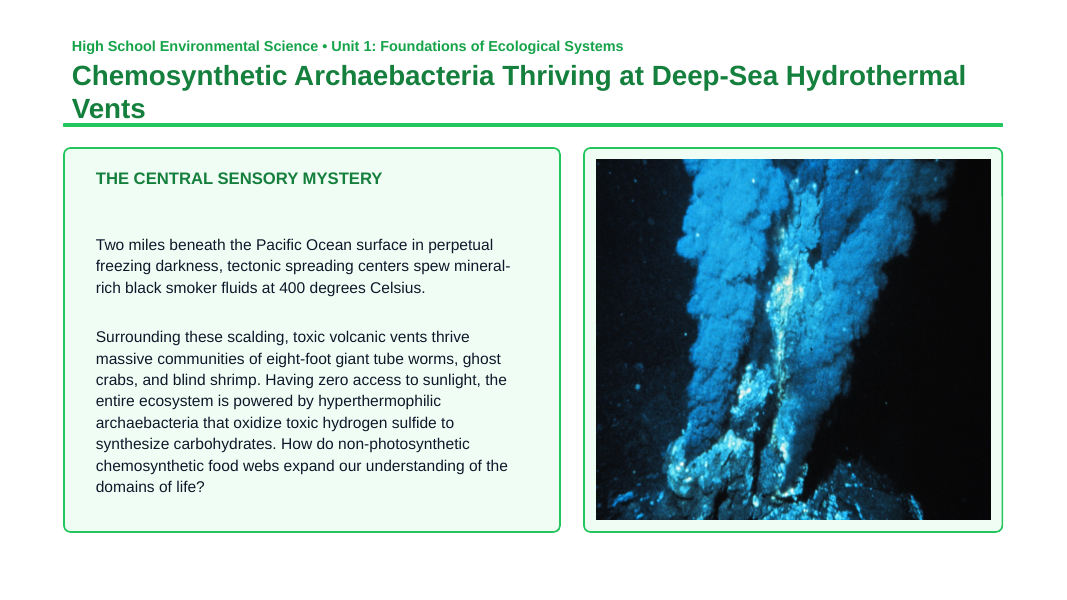 Six Kingdoms of Life Phenomena-Based Lesson: Chemosynthetic Archaebacteria Thriving at Deep-Sea Hydrothermal Vents Presentation sample page