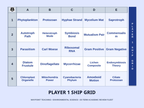 Six Kingdoms of Life Sea Battle Review Game sample page