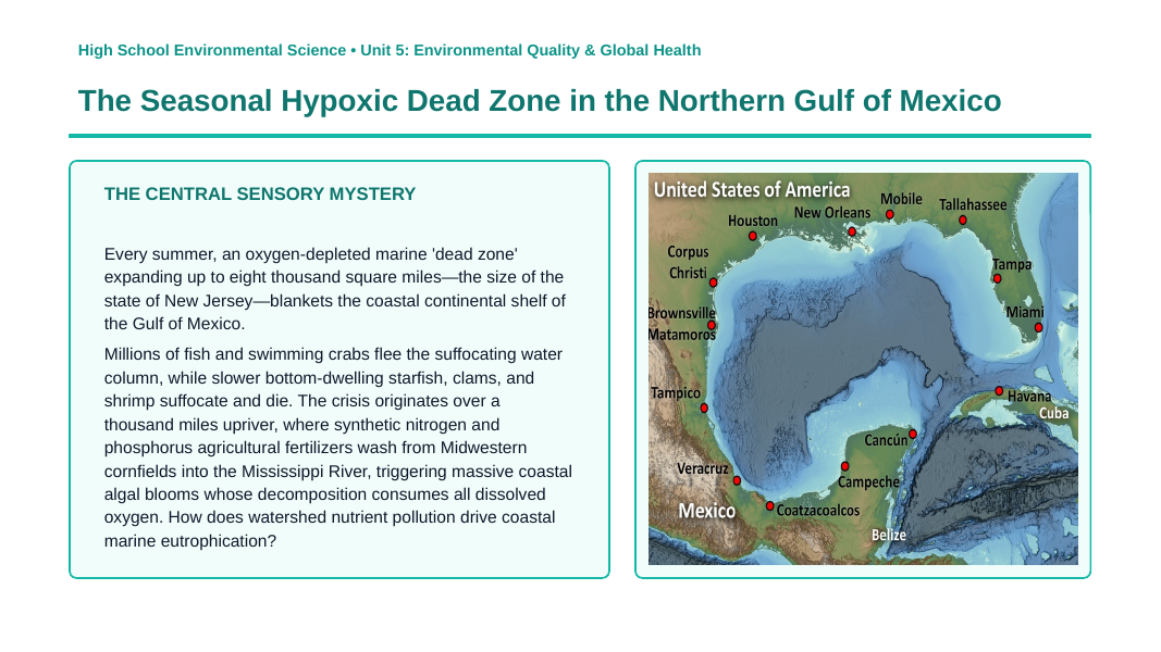 Water Pollution Explained Phenomena-Based Lesson: The Seasonal Hypoxic Dead Zone in the Northern Gulf of Mexico Presentation sample page