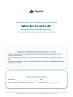 What Are Fossil Fuels? Differentiation Stations sample page