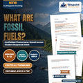 What Are Fossil Fuels? Scaffolded Phenomena-Based Lesson: Carboniferous Swamp Peat Deposition Transforming into Coal Beds Student Response Sheet cover