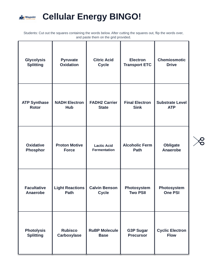 Adenosine triphosphate (ATP) BINGO Review Game sample page