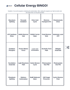 Adenosine triphosphate (ATP) BINGO Review Game sample page