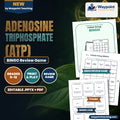 Adenosine triphosphate (ATP) BINGO Review Game cover