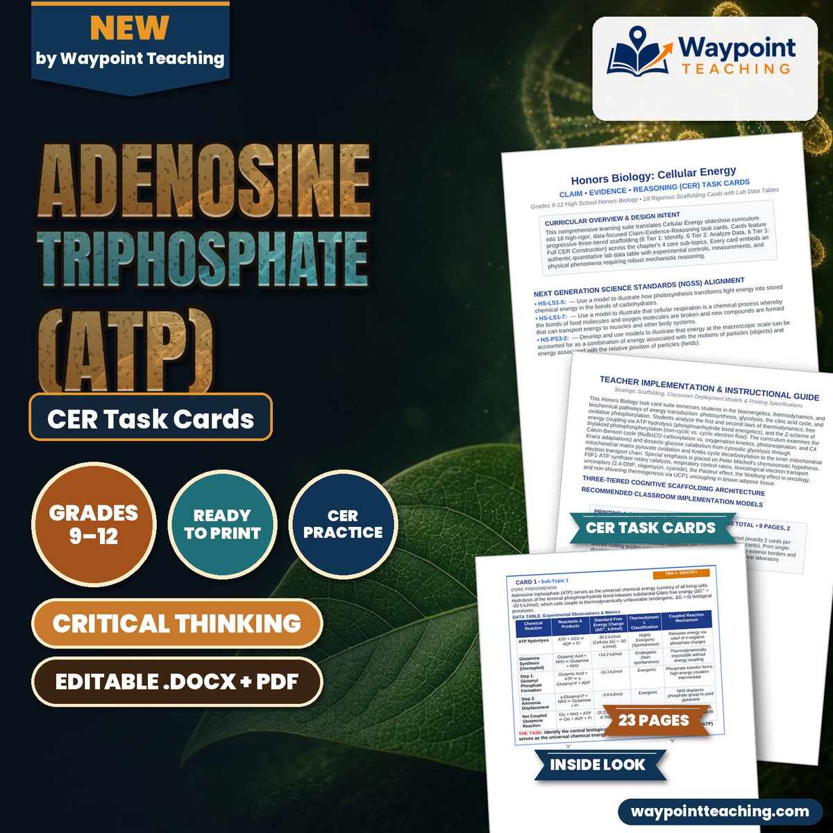 Adenosine triphosphate (ATP) CER Task Cards cover