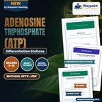 Adenosine triphosphate (ATP) Differentiation Stations cover