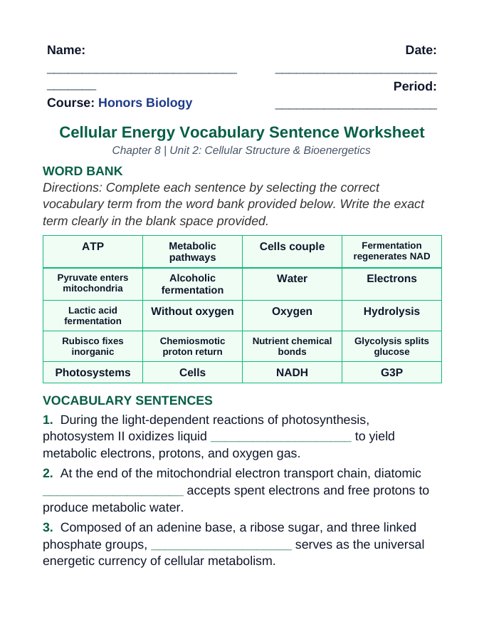 Adenosine triphosphate (ATP) Fill-in-the-Blank Vocabulary Worksheet sample page