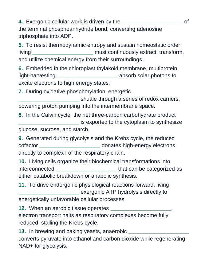 Adenosine triphosphate (ATP) Fill-in-the-Blank Vocabulary Worksheet sample page