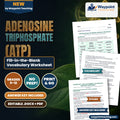 Adenosine triphosphate (ATP) Fill-in-the-Blank Vocabulary Worksheet cover