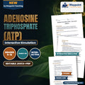 Adenosine triphosphate (ATP) Interactive Simulation cover