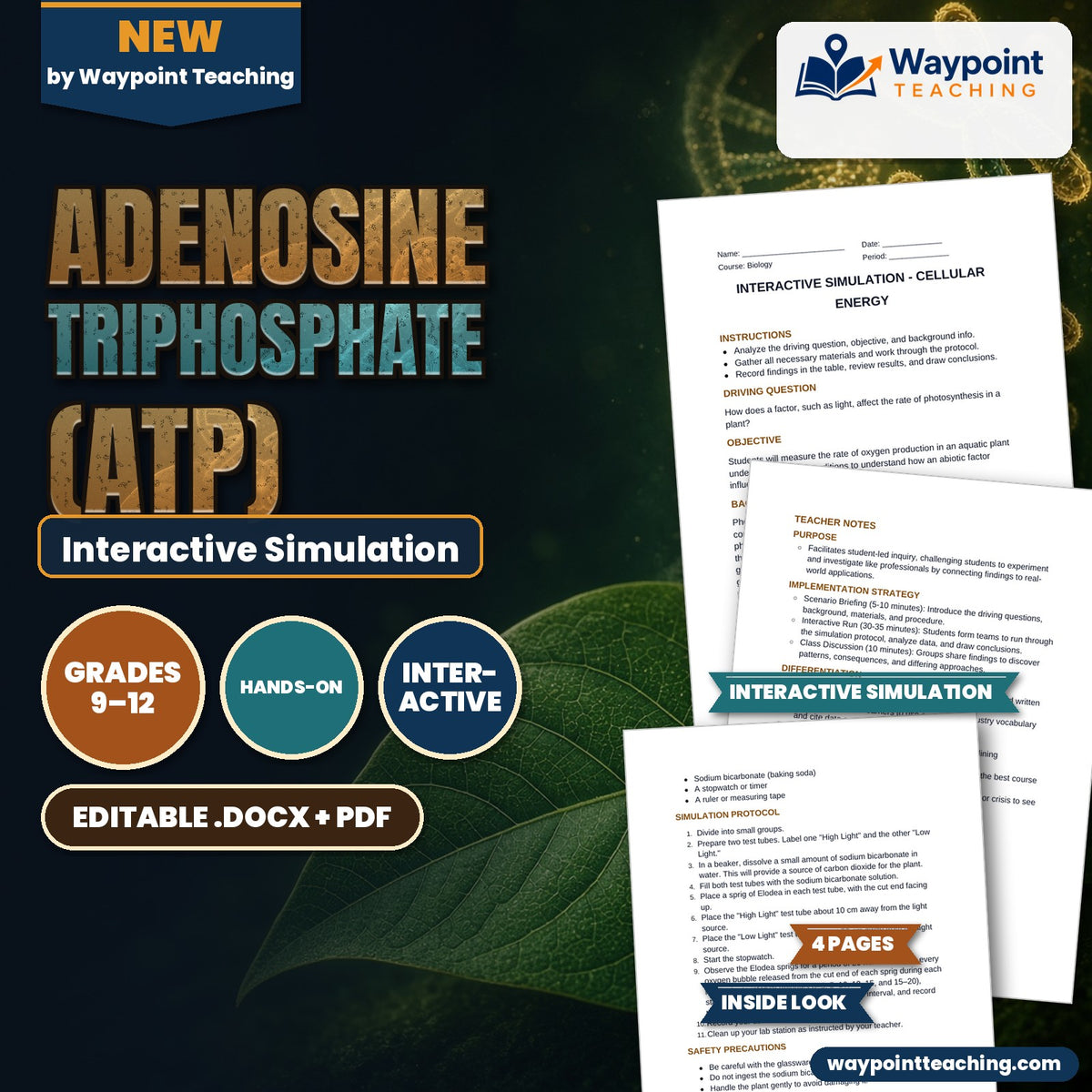 Adenosine triphosphate (ATP) Interactive Simulation cover