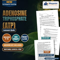 Adenosine triphosphate (ATP) Lesson Quiz cover
