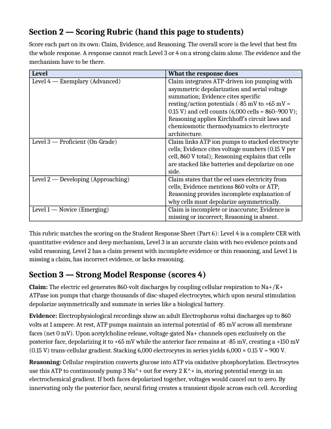 Adenosine triphosphate (ATP) Model Response & Scoring Guide sample page