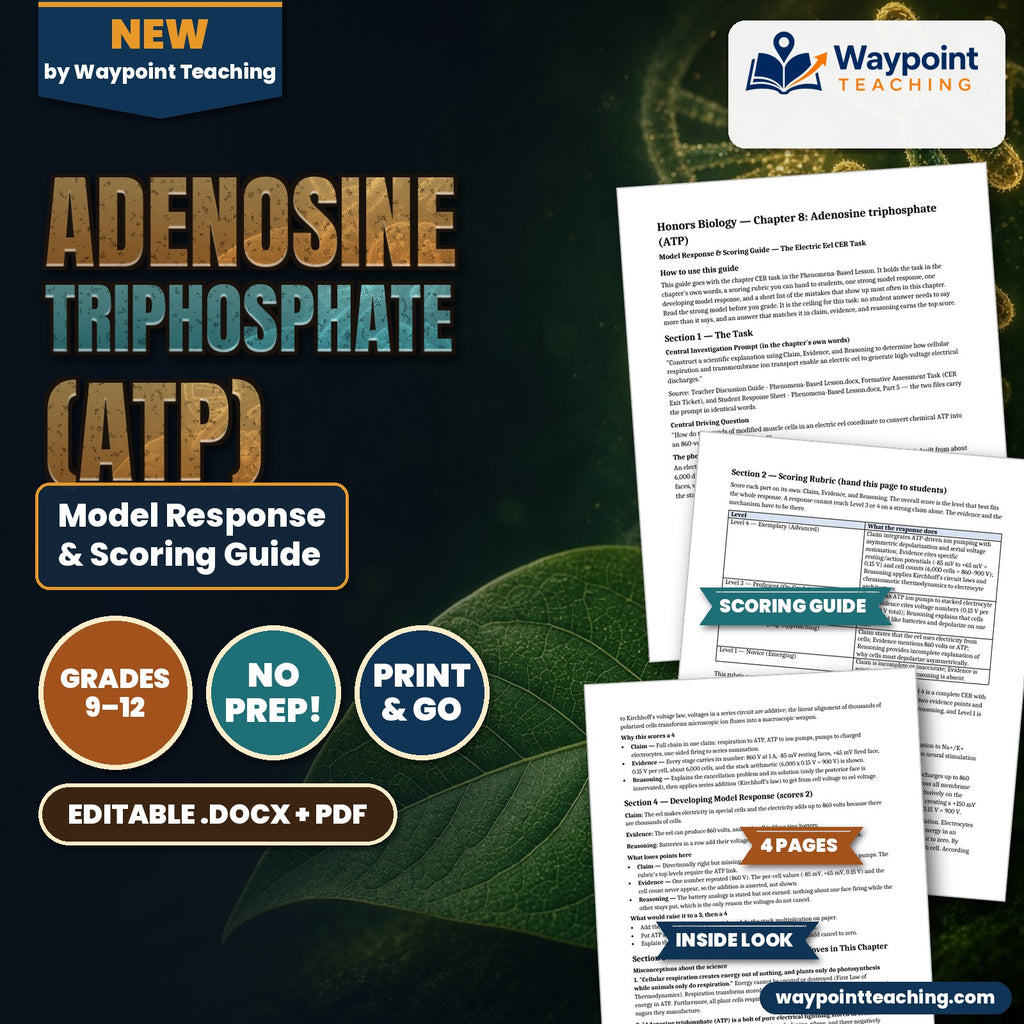 Adenosine triphosphate (ATP) Model Response & Scoring Guide cover