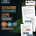 Adenosine triphosphate (ATP) Model Response & Scoring Guide cover