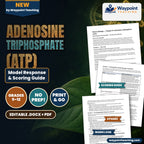 Adenosine triphosphate (ATP) Model Response & Scoring Guide cover