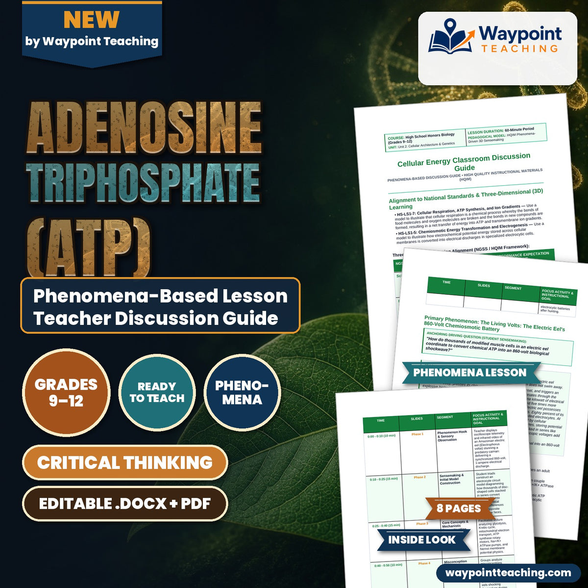Adenosine triphosphate (ATP) Phenomena-Based Lesson: The Living Volts: The Electric Eel's 860-Volt Chemiosmotic Battery Teacher Discussion Guide cover