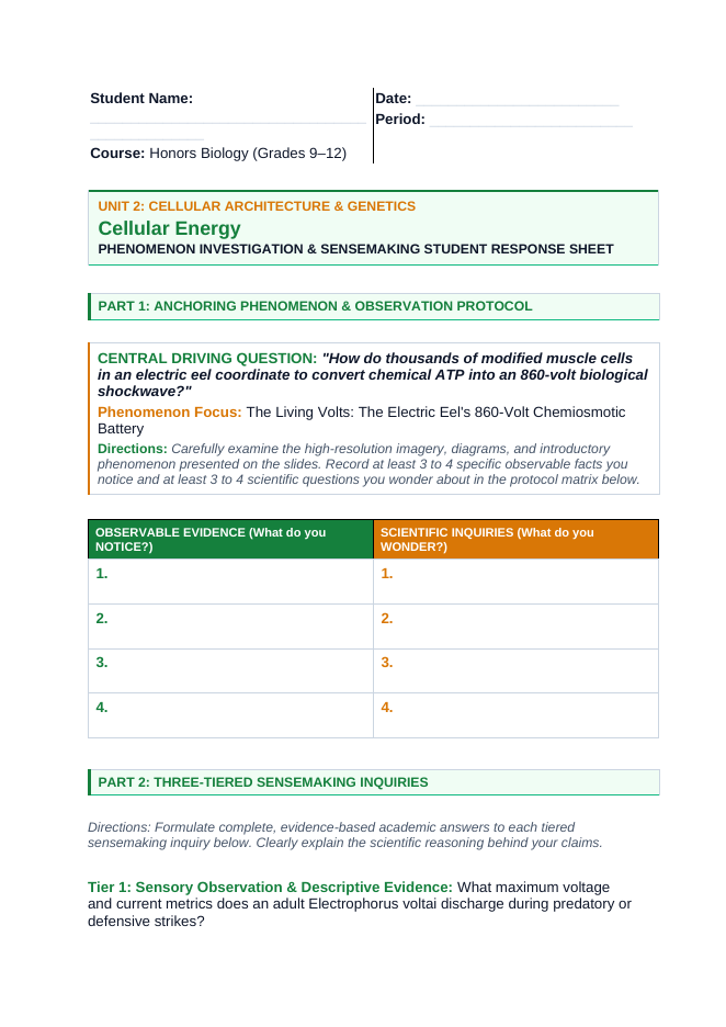 Adenosine triphosphate (ATP) Phenomena-Based Lesson: The Living Volts: The Electric Eel's 860-Volt Chemiosmotic Battery Student Response Sheet sample page