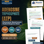 Adenosine triphosphate (ATP) Phenomena-Based Lesson: The Living Volts: The Electric Eel's 860-Volt Chemiosmotic Battery Student Response Sheet cover