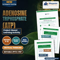 Adenosine triphosphate (ATP) Project-Based Learning Activity cover