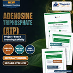 Adenosine triphosphate (ATP) Project-Based Learning Activity cover