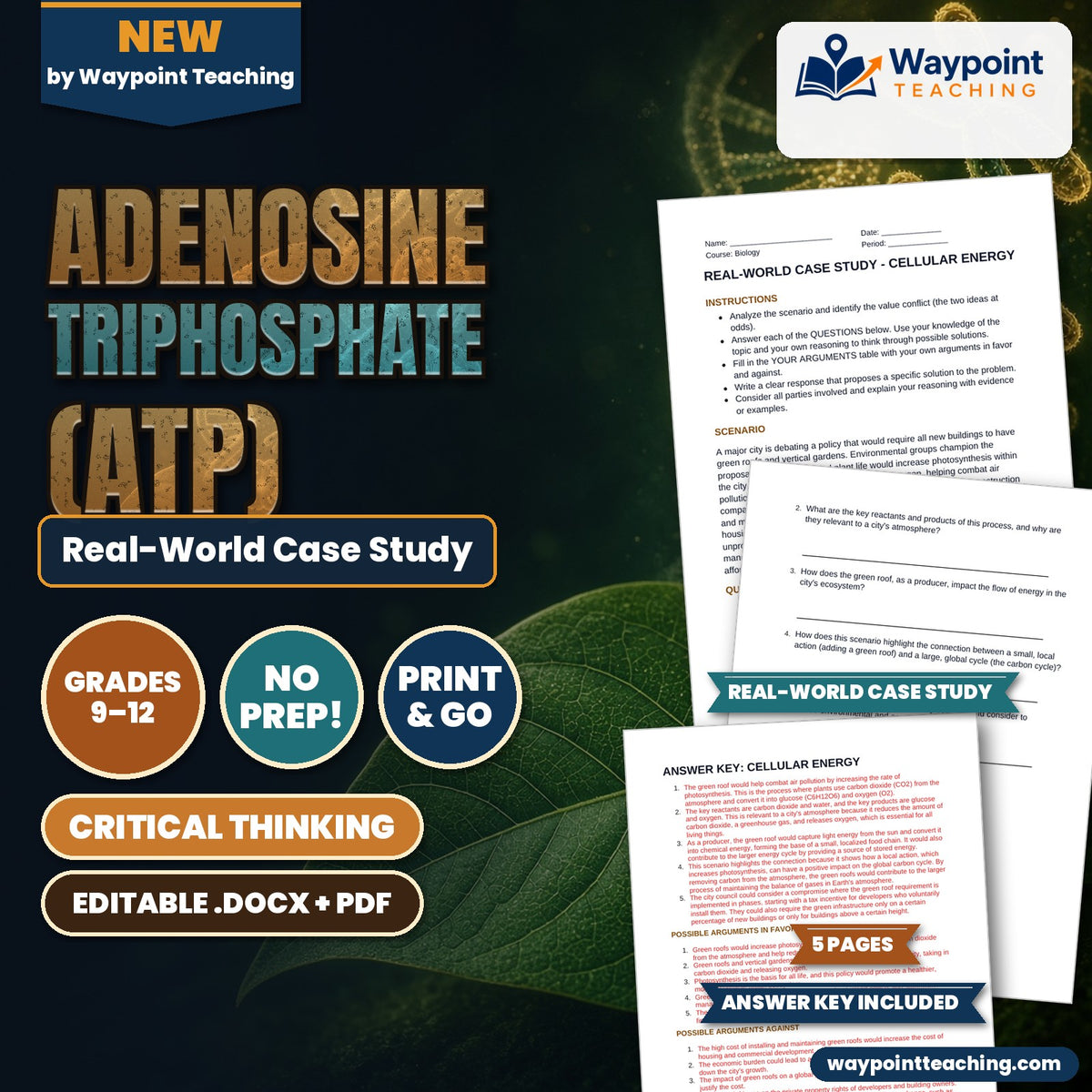 Adenosine triphosphate (ATP) Real-World Case Study cover