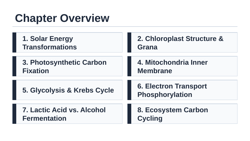 Adenosine triphosphate (ATP) Slide Show Presentation sample page