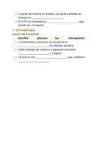 Adenosine triphosphate (ATP) Spanish Guided Notes sample page