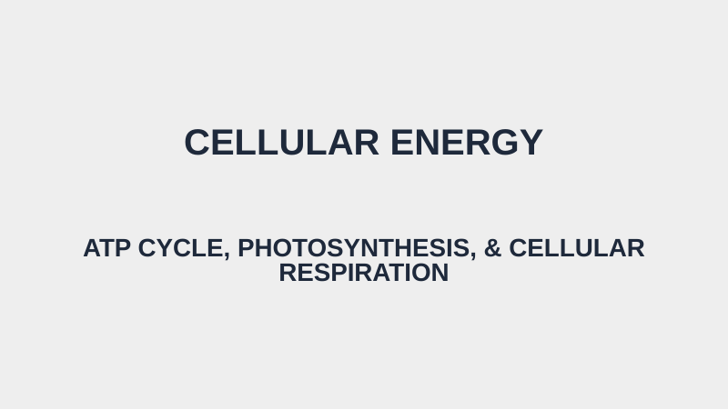 Adenosine triphosphate (ATP) Substitute Slideshow & Teacher Guide sample page