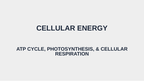 Adenosine triphosphate (ATP) Substitute Slideshow & Teacher Guide sample page