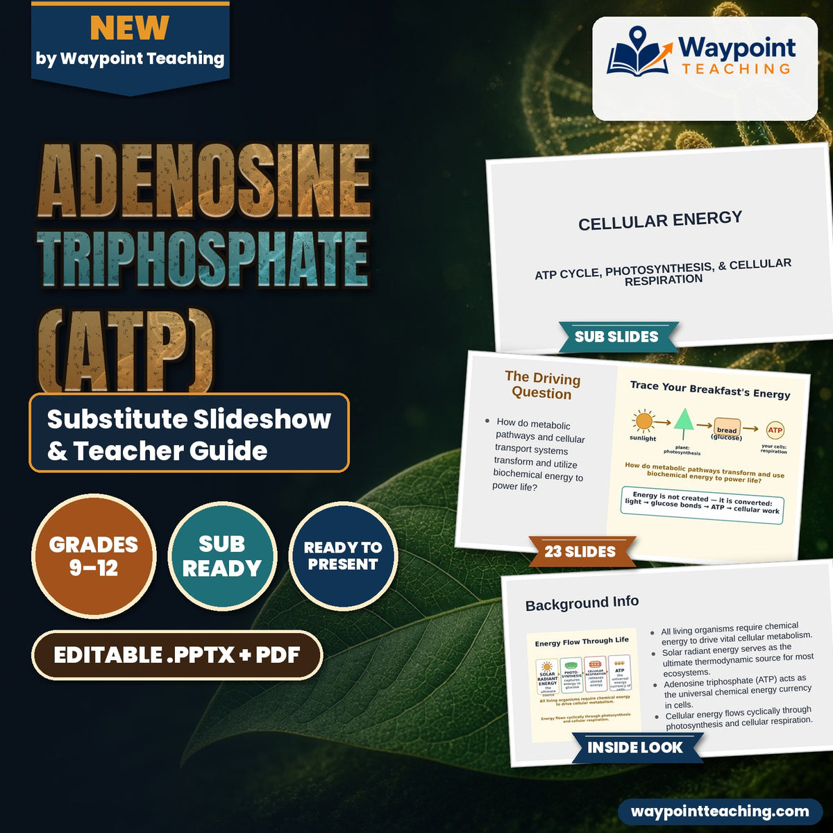 Adenosine triphosphate (ATP) Substitute Slideshow & Teacher Guide cover