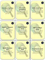Adenosine triphosphate (ATP) Trivia Board Game sample page