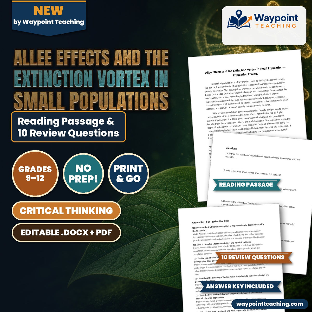 Allee Effects and the Extinction Vortex in Small Populations Reading Worksheet cover