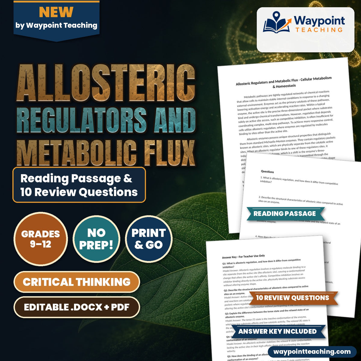 Allosteric Regulators and Metabolic Flux Reading Worksheet cover