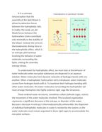 Amphipathic Molecules and Lipid Bilayer Thermodynamics Reading Worksheet sample page