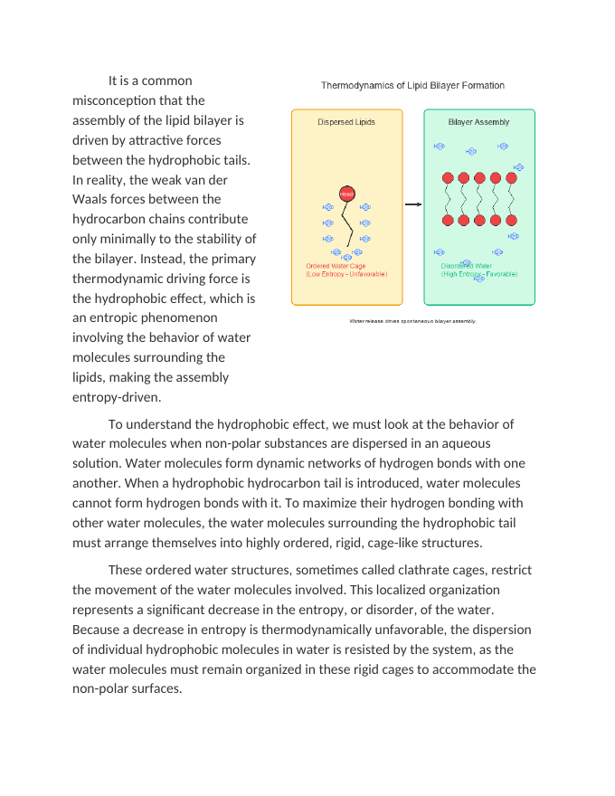 Amphipathic Molecules and Lipid Bilayer Thermodynamics Reading Worksheet sample page