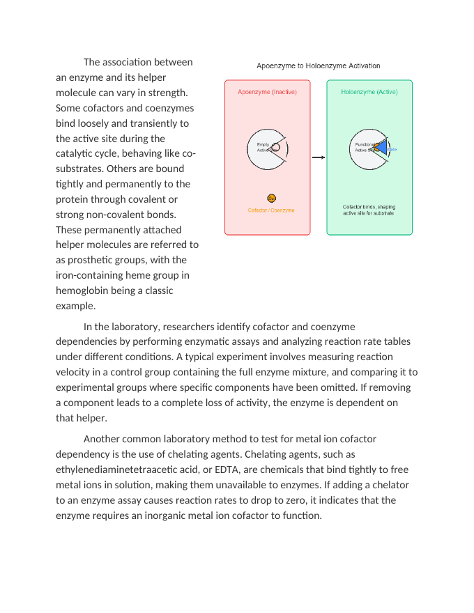 Analyzing Coenzyme and Cofactor Dependencies in Lab Data Reading Worksheet sample page