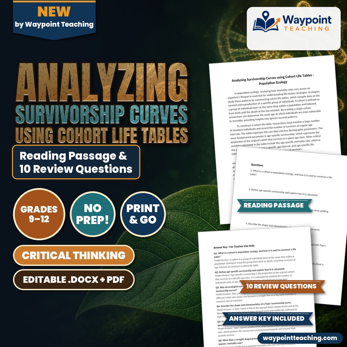 Analyzing Survivorship Curves using Cohort Life Tables Reading Worksheet cover