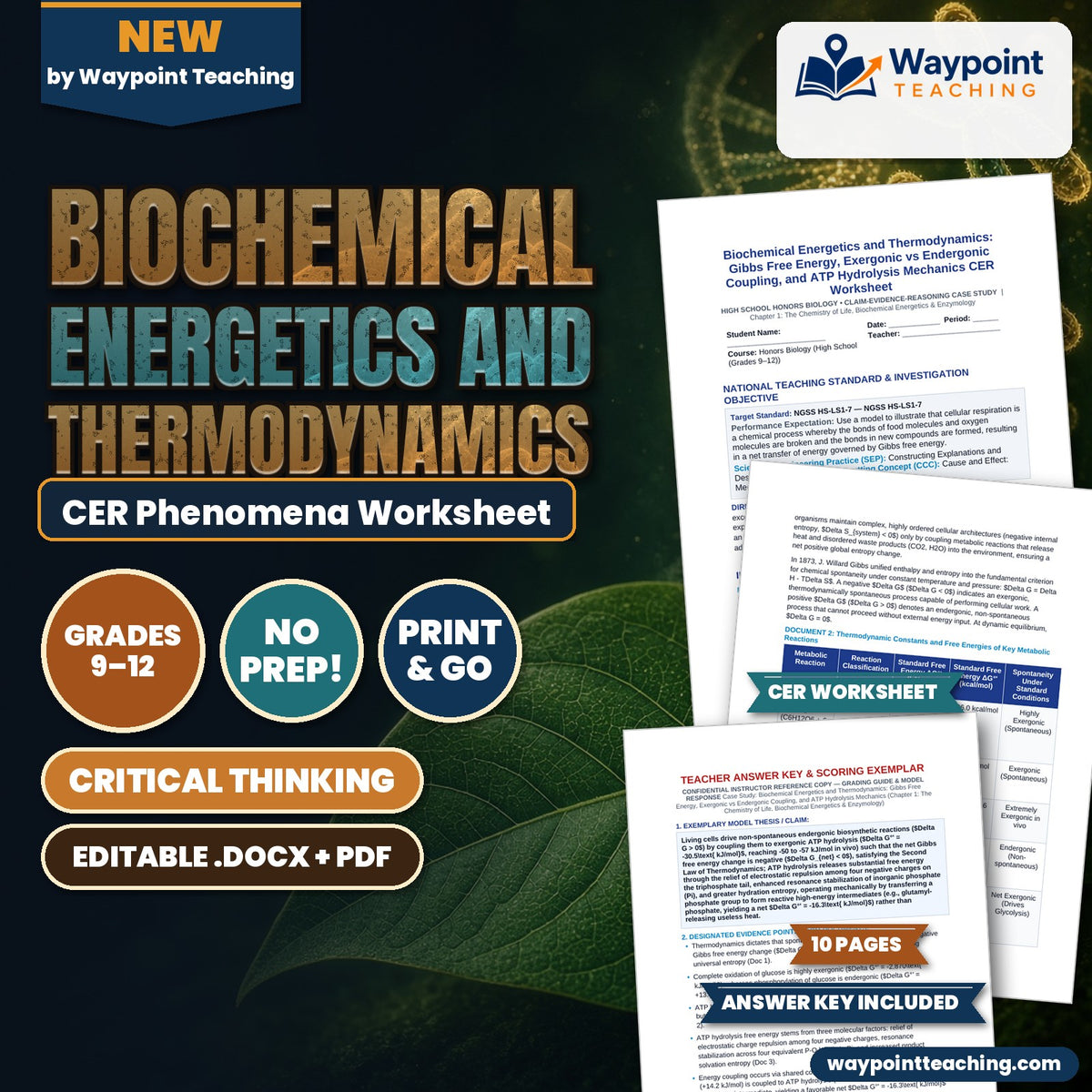 Biochemical Energetics and Thermodynamics: Gibbs Free Energy, Exergonic vs Endergonic Coupling, and ATP Hydrolysis Mechanics CER Phenomena Worksheet cover