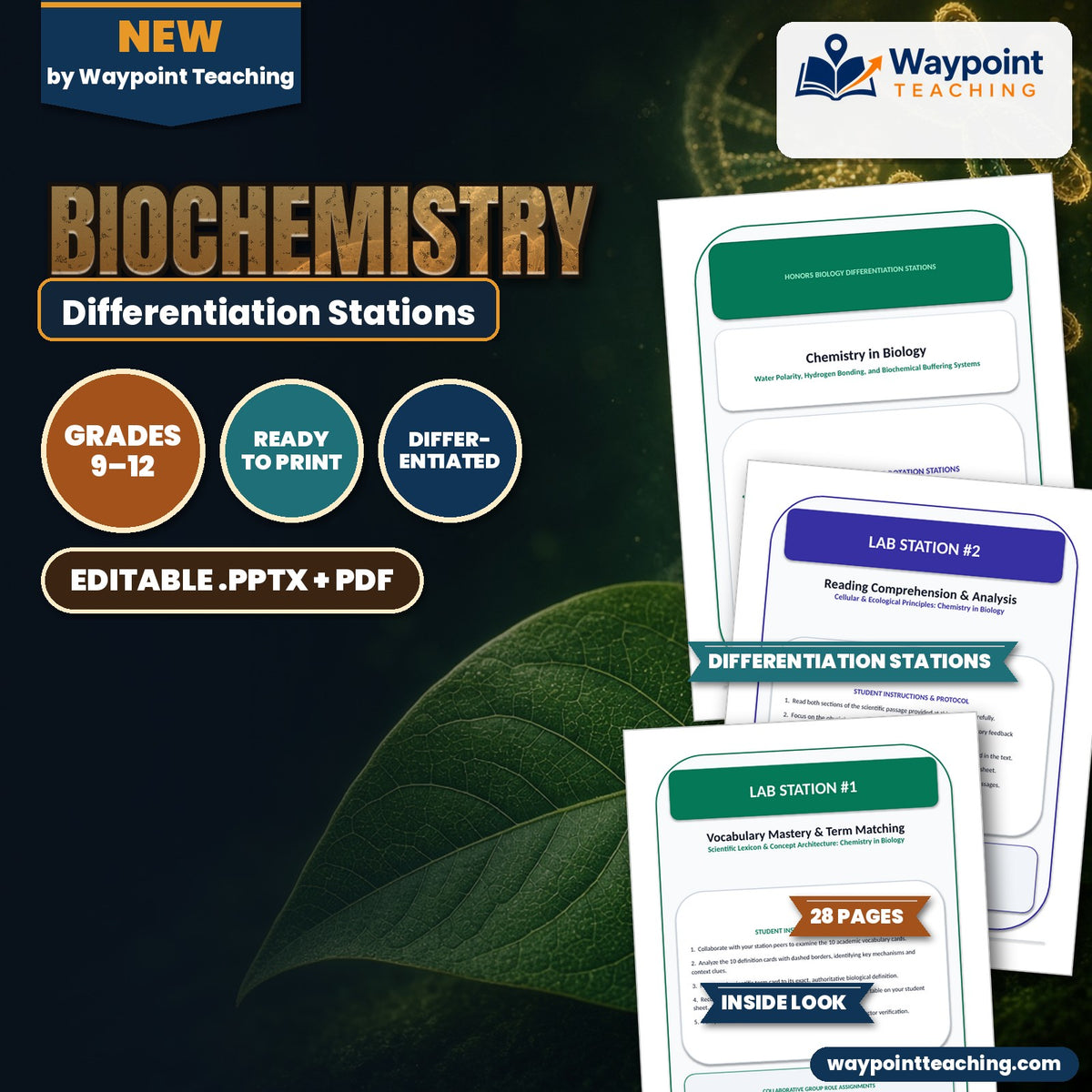 Biochemistry Differentiation Stations cover