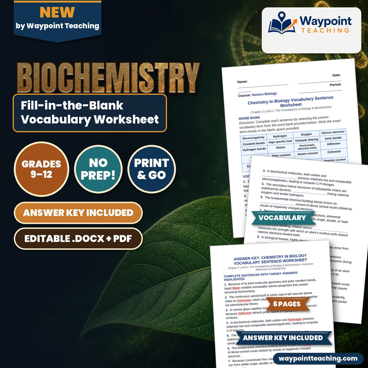 Biochemistry Fill-in-the-Blank Vocabulary Worksheet cover