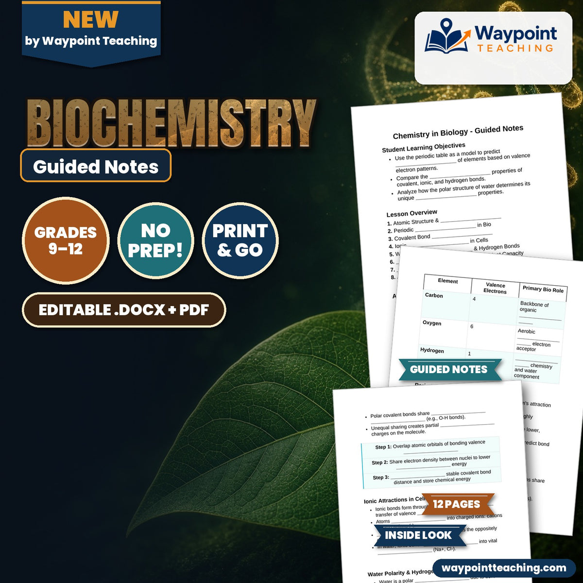 Biochemistry Guided Notes cover