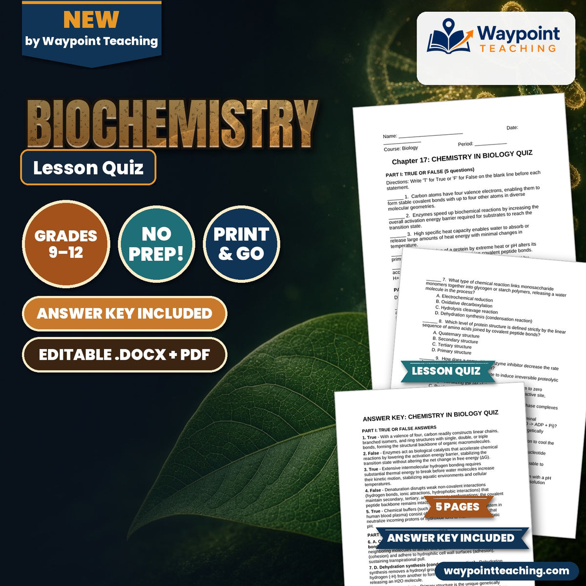 Biochemistry Lesson Quiz cover