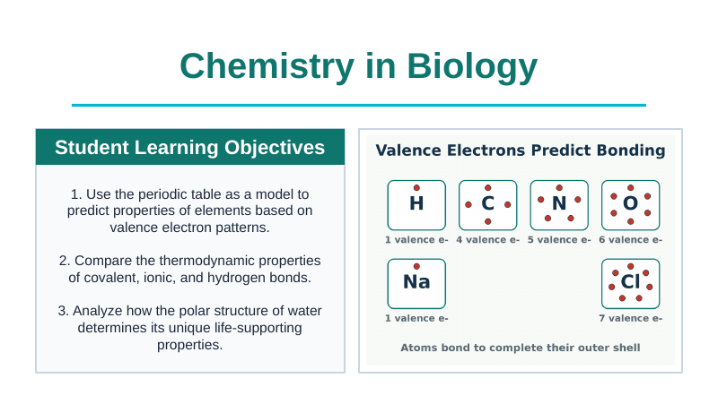 Biochemistry Slide Show Presentation sample page