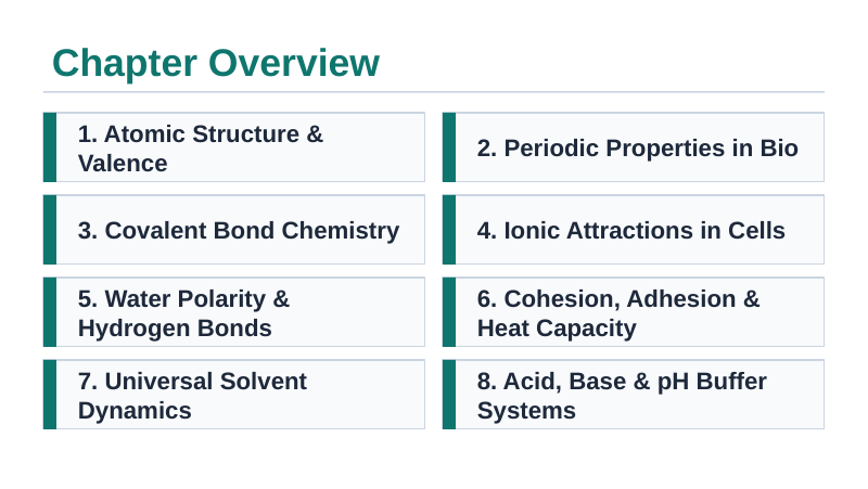 Biochemistry Slide Show Presentation sample page