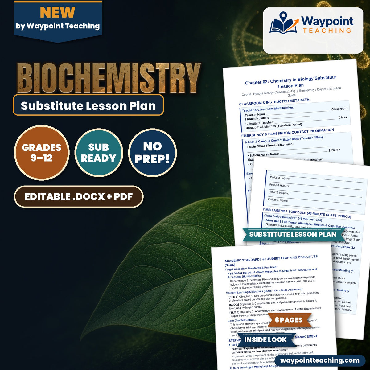 Biochemistry Substitute Lesson Plan cover