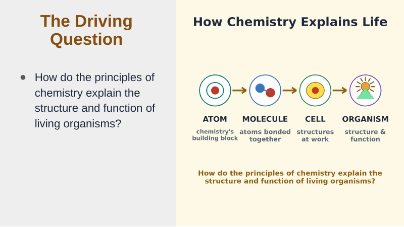 Biochemistry Substitute Slideshow & Teacher Guide sample page